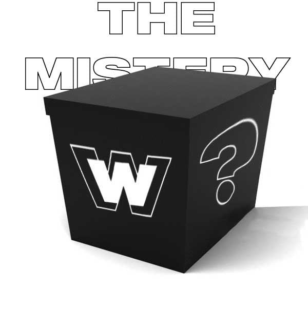 MISTERY BOX WEWARDOBLE